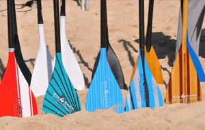 Paddle Colors