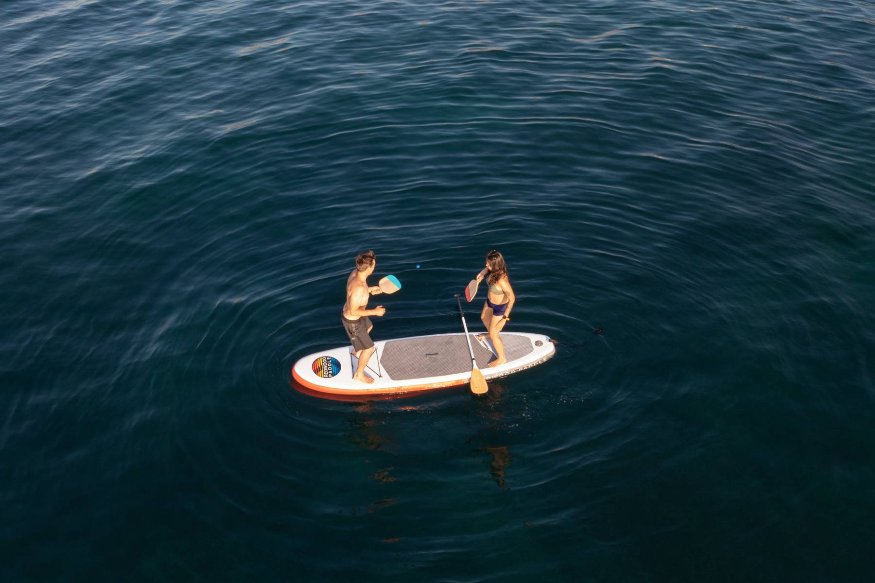 paddle pong