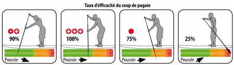 Taux d'efficacit du coup de pagaie