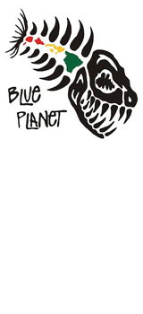 outline blue-planet sweet spot 9'2 outline