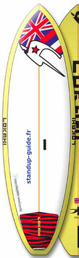 lokahi comp 8'0 outline