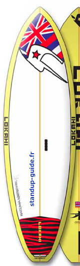 lokahi comp 8'4 outline