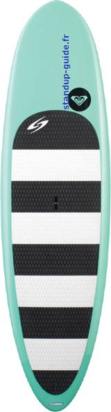 surftech roxy 9'6 outline